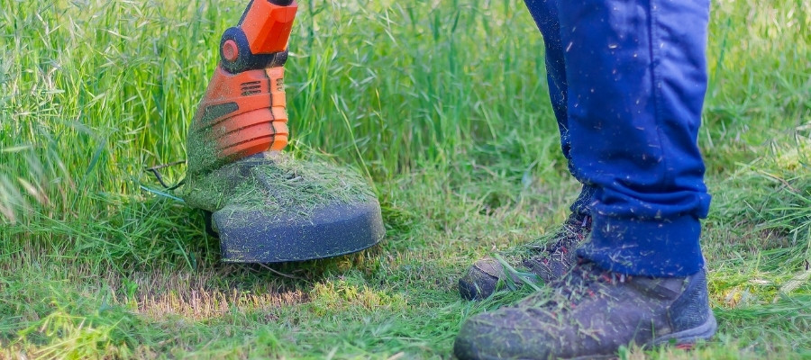 Landscaping services in Cape Town